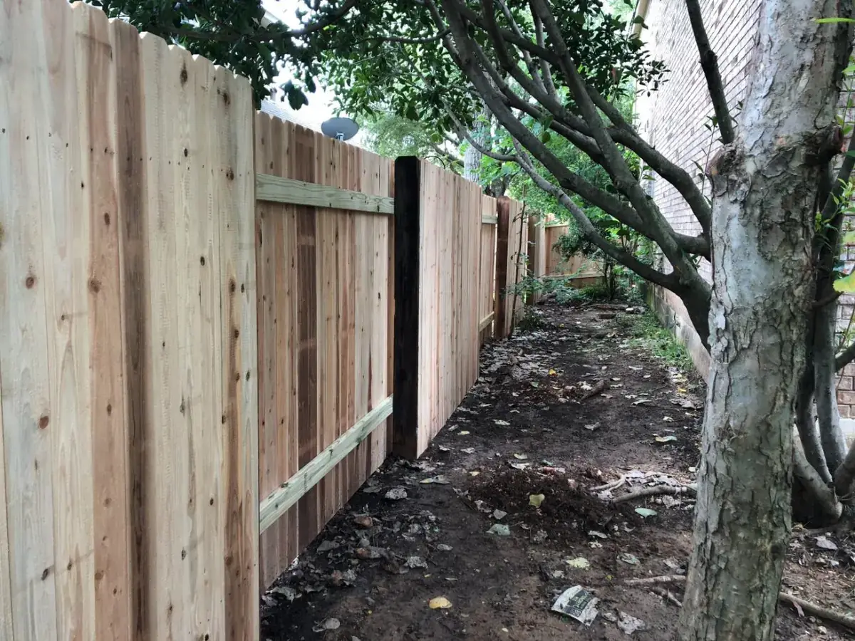 Cedar privacy fence run along a property line
