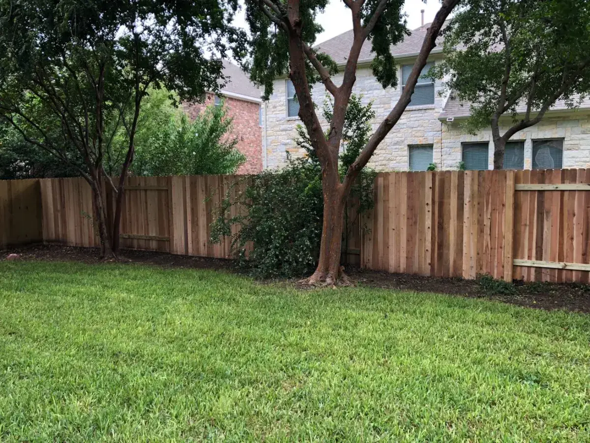 Cedar privacy fence around a backyard