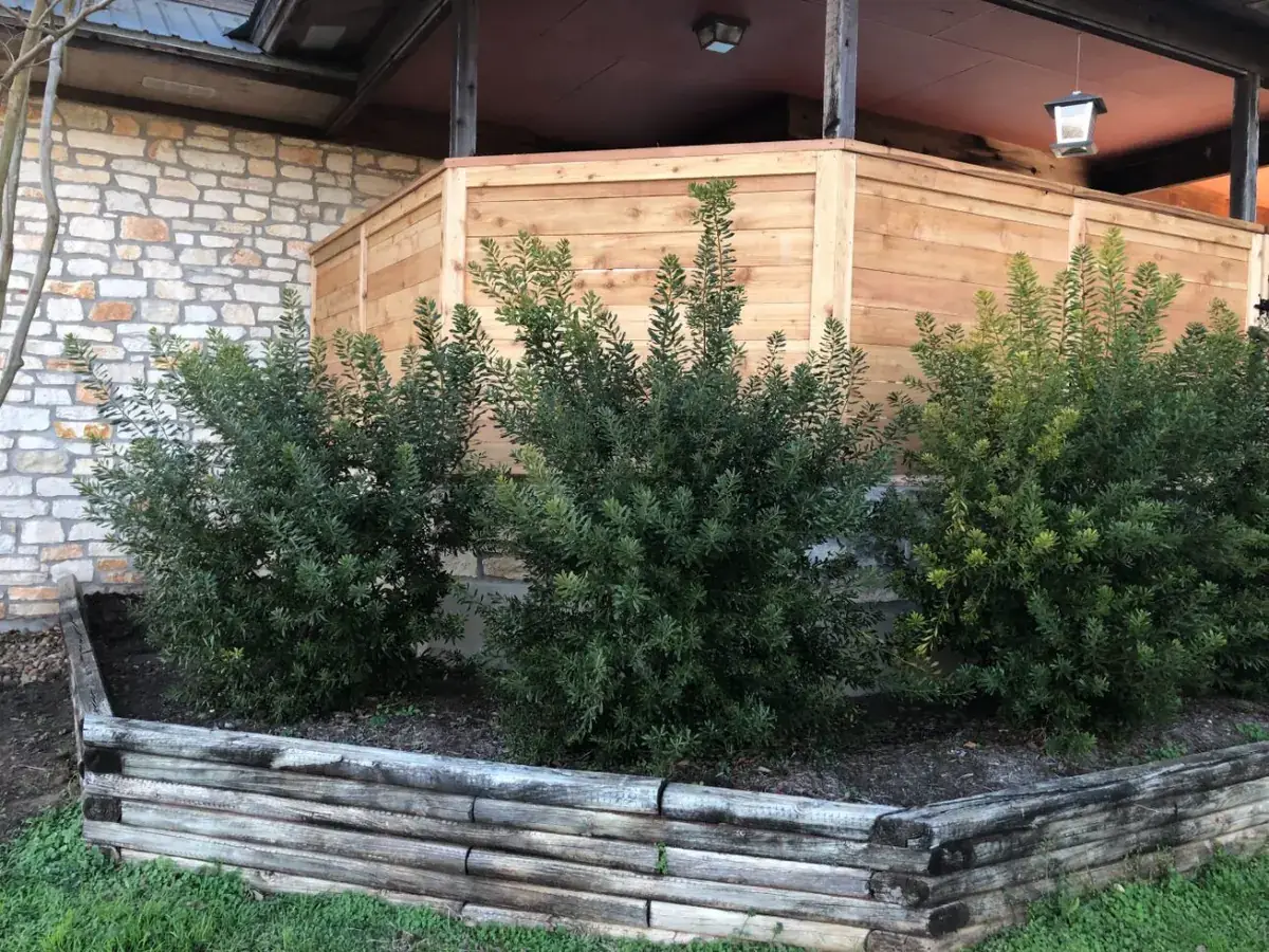 Horizontal cedar privacy screen