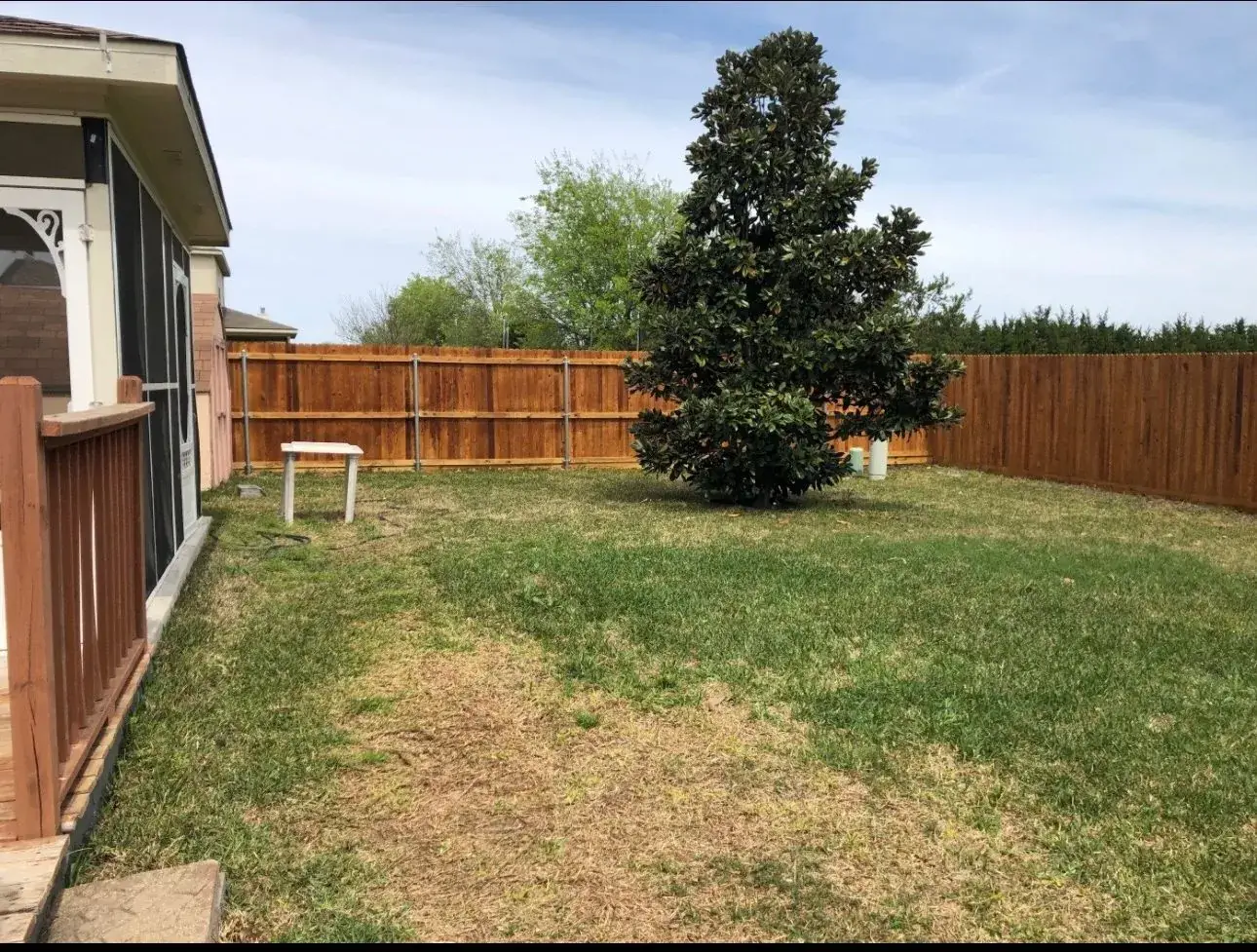 Cedar privacy fence around a backyard
