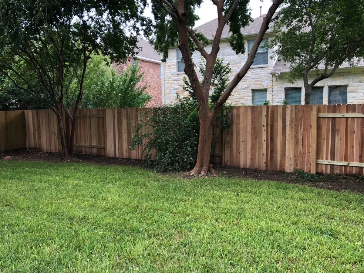 Cedar privacy fence around a backyard